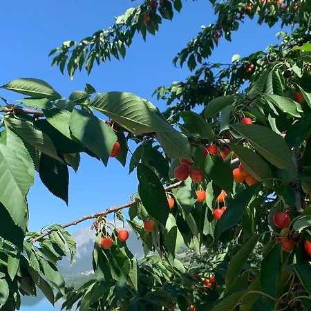 Dom wakacyjny Il Giardino Incantato *