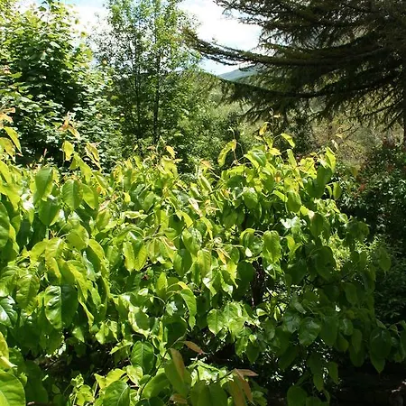 Apartament Il Giardino Incantato